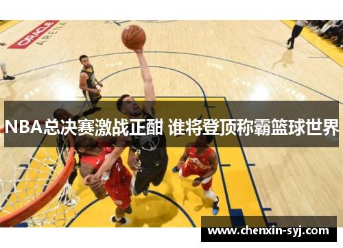 NBA总决赛激战正酣 谁将登顶称霸篮球世界